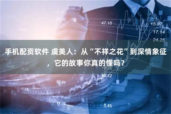 手机配资软件 虞美人：从“不祥之花”到深情象征，它的故事你真的懂吗？