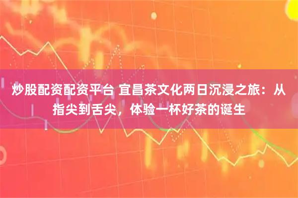 炒股配资配资平台 宜昌茶文化两日沉浸之旅：从指尖到舌尖，体验一杯好茶的诞生
