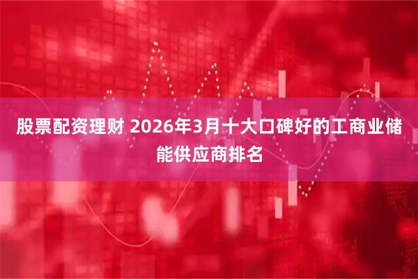 股票配资理财 2026年3月十大口碑好的工商业储能供应商排名