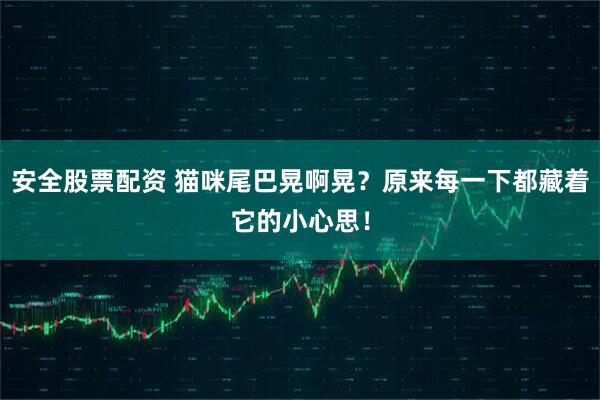 安全股票配资 猫咪尾巴晃啊晃?原来每一下都藏着它的小心思!